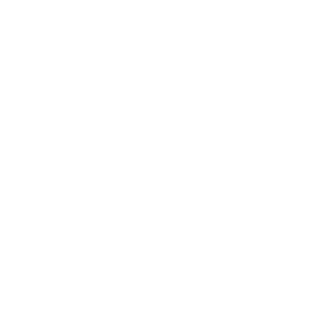 Solution Architects